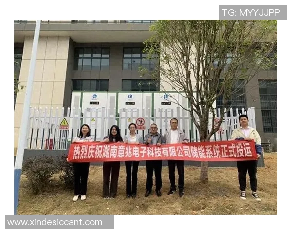 彩神Vll助力零碳未来：探索储能电站并网与智能能源管理新模式