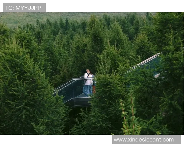 应对极端环境挑战的彩神Vll电池技术研发与应用进展分析