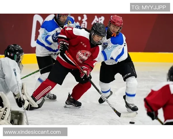 冰球突破游戏中的随机数生成与公平性保障的认证标准探讨 冰球突破游戏中的随机数生成与公平性保障的认证标准探讨