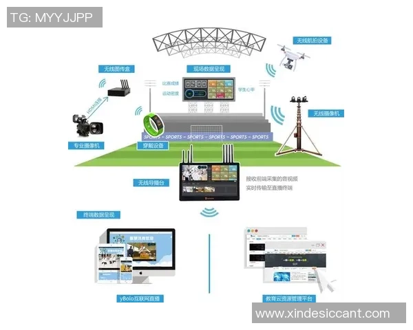 展望未来：彩神Vll如何推动全球化战略与体育产业新格局的构建