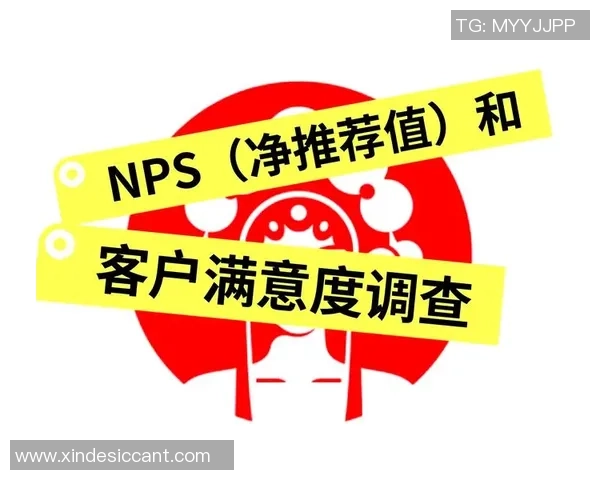 用户体验监测与提升策略:快盈VIII如何有效量化用户满意度 用户体验监测与提升策略:快盈VIII如何有效量化用户满意度