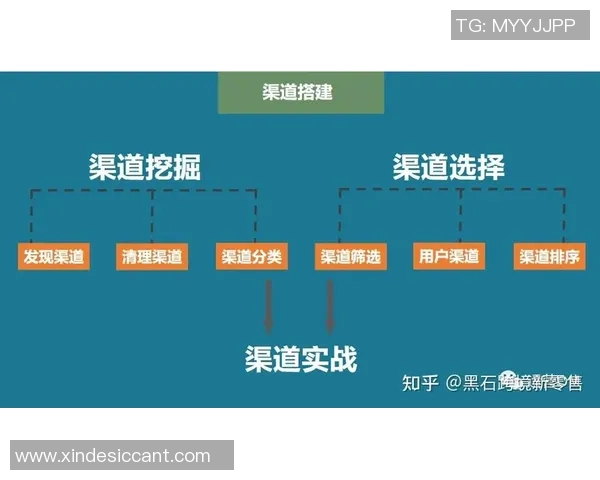 市场推广策略解析:快盈VIII如何通过获客渠道实现增长黑客突破