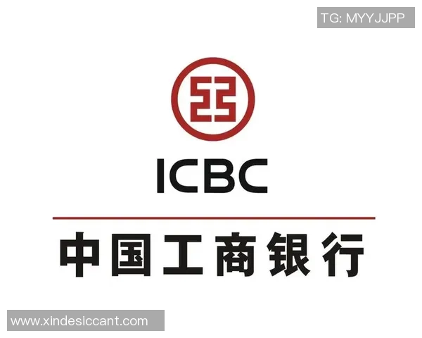 冰球突破游戏版本更新日志详解全新功能与内容迭代一览