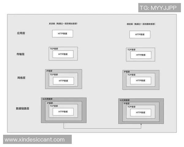 从IP到产品的全流程解析：彩神Vll体育周边商品的创新与设计之路