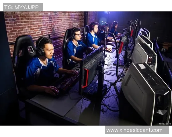 肢体残疾电竞创新设计助力残疾玩家畅享游戏乐趣与竞技体验 肢体残疾电竞创新设计助力残疾玩家畅享游戏乐趣与竞技体验