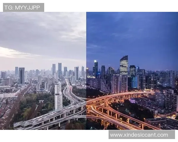 全球马拉松大满贯赛事的商业模式与大众参与之间的微妙平衡探讨